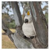 Furfolk Birth Plus Furfolk - Cockatoo