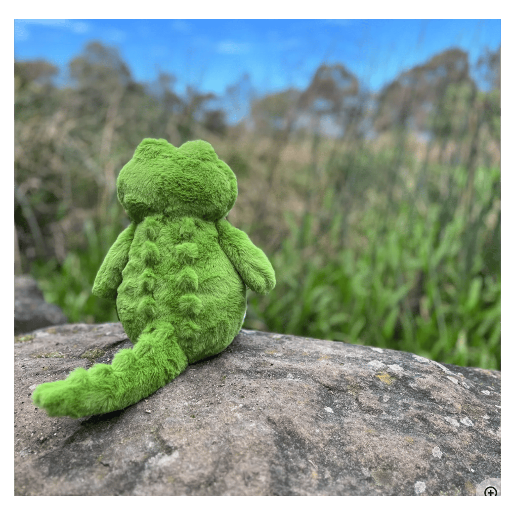 Furfolk Birth Plus Furfolk - Crocodile