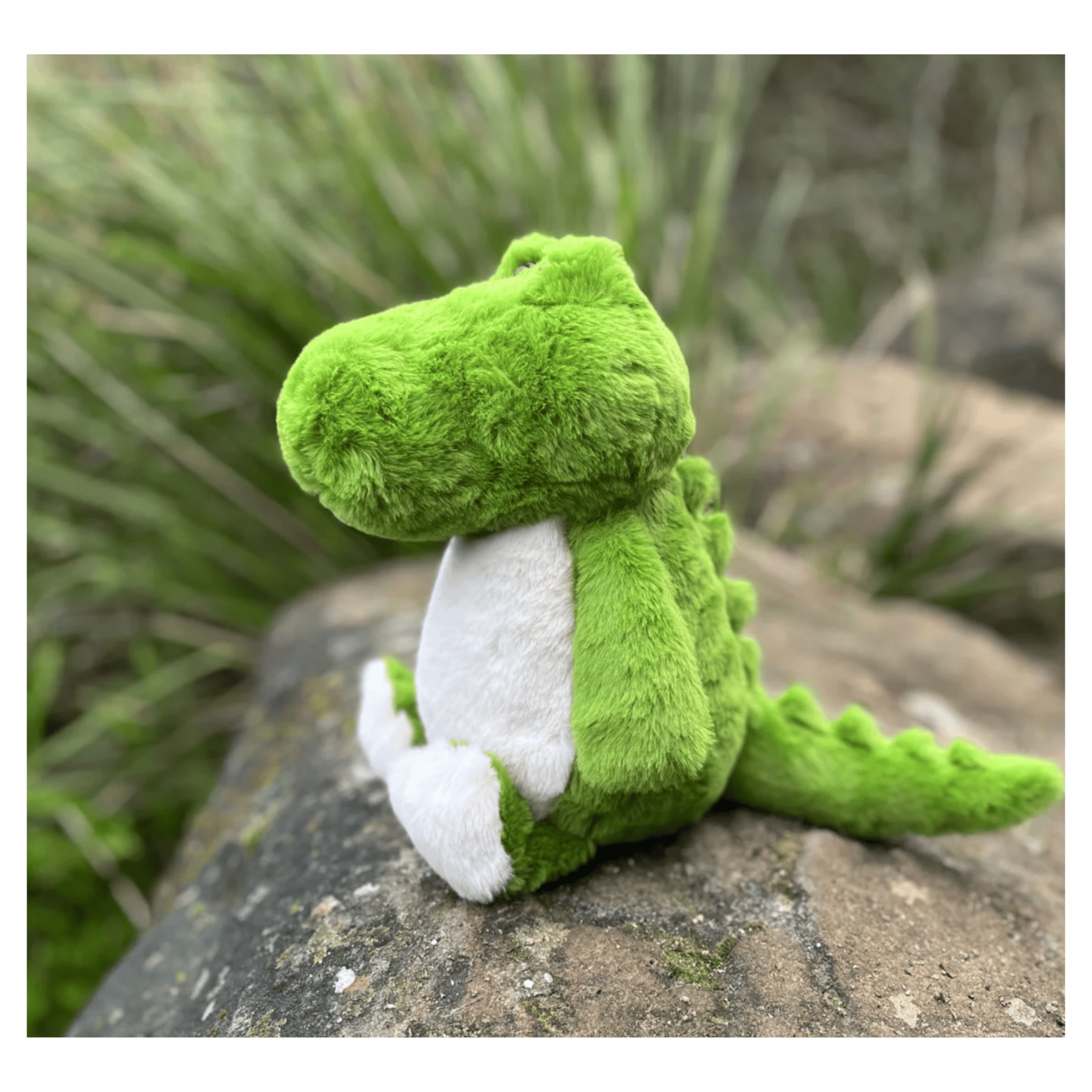 Furfolk Birth Plus Furfolk - Crocodile
