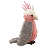 Furfolk Birth Plus Furfolk - Galah
