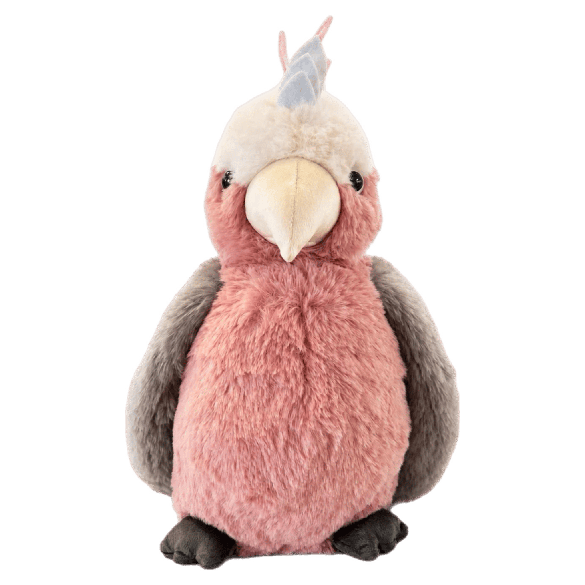 Furfolk Birth Plus Furfolk - Galah