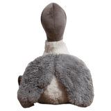 Furfolk Birth Plus Furfolk - Ibis