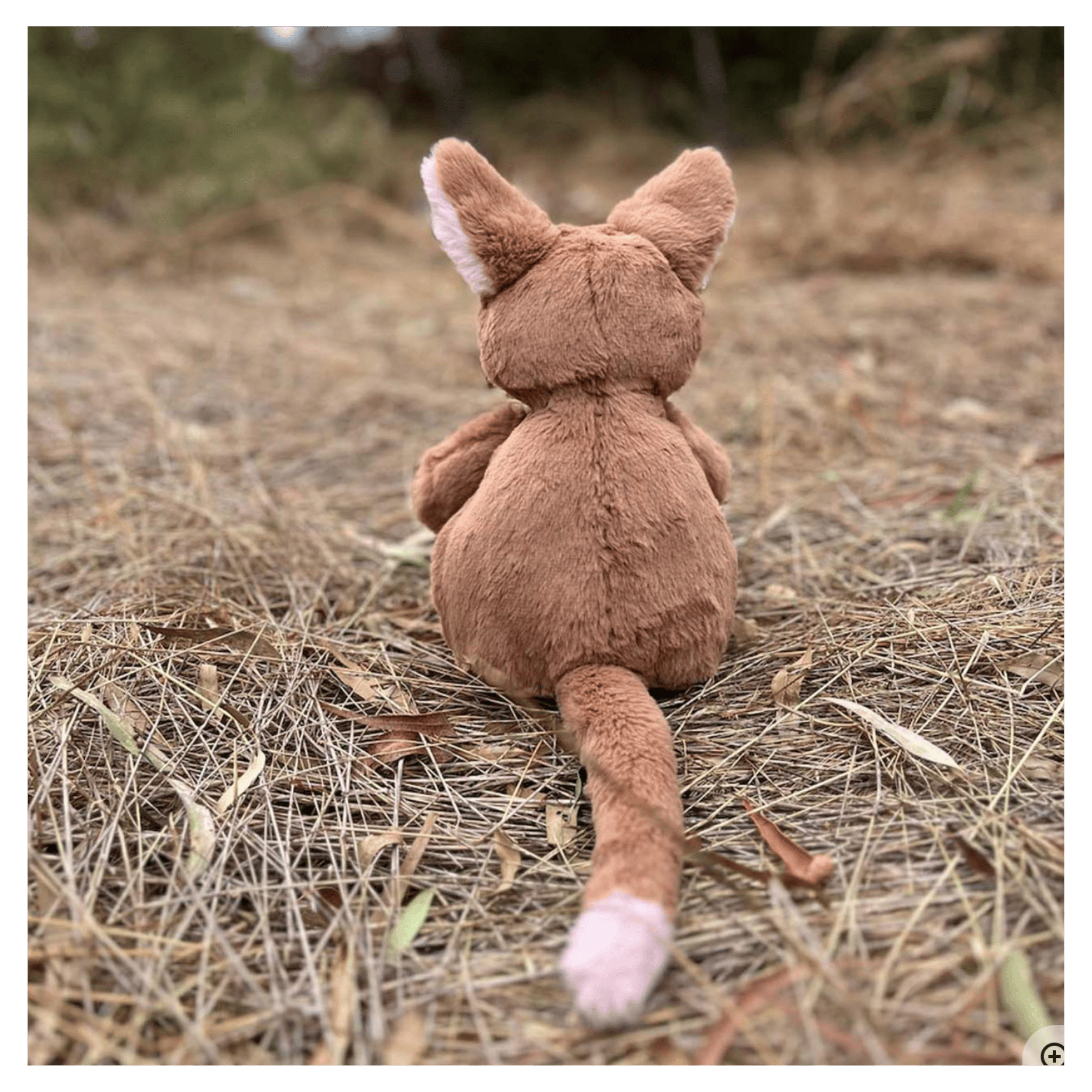 Furfolk Birth Plus Furfolk - Kangaroo