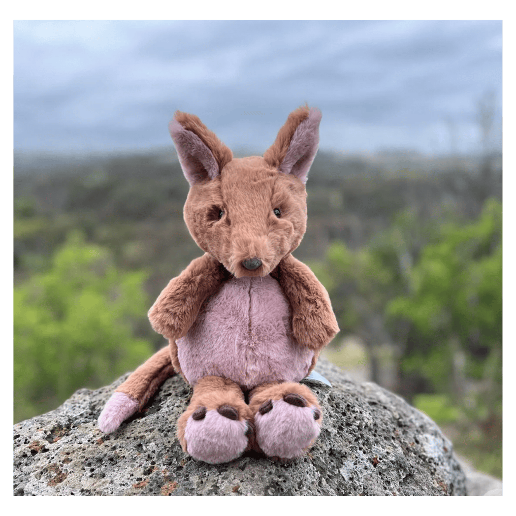 Furfolk Birth Plus Furfolk - Kangaroo