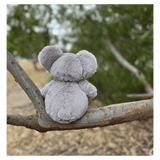 Furfolk Birth Plus Furfolk - Koala