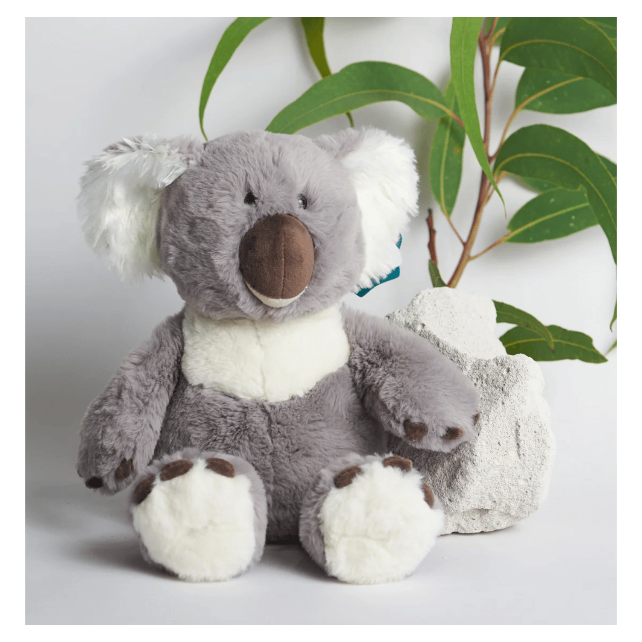 Furfolk Birth Plus Furfolk - Koala