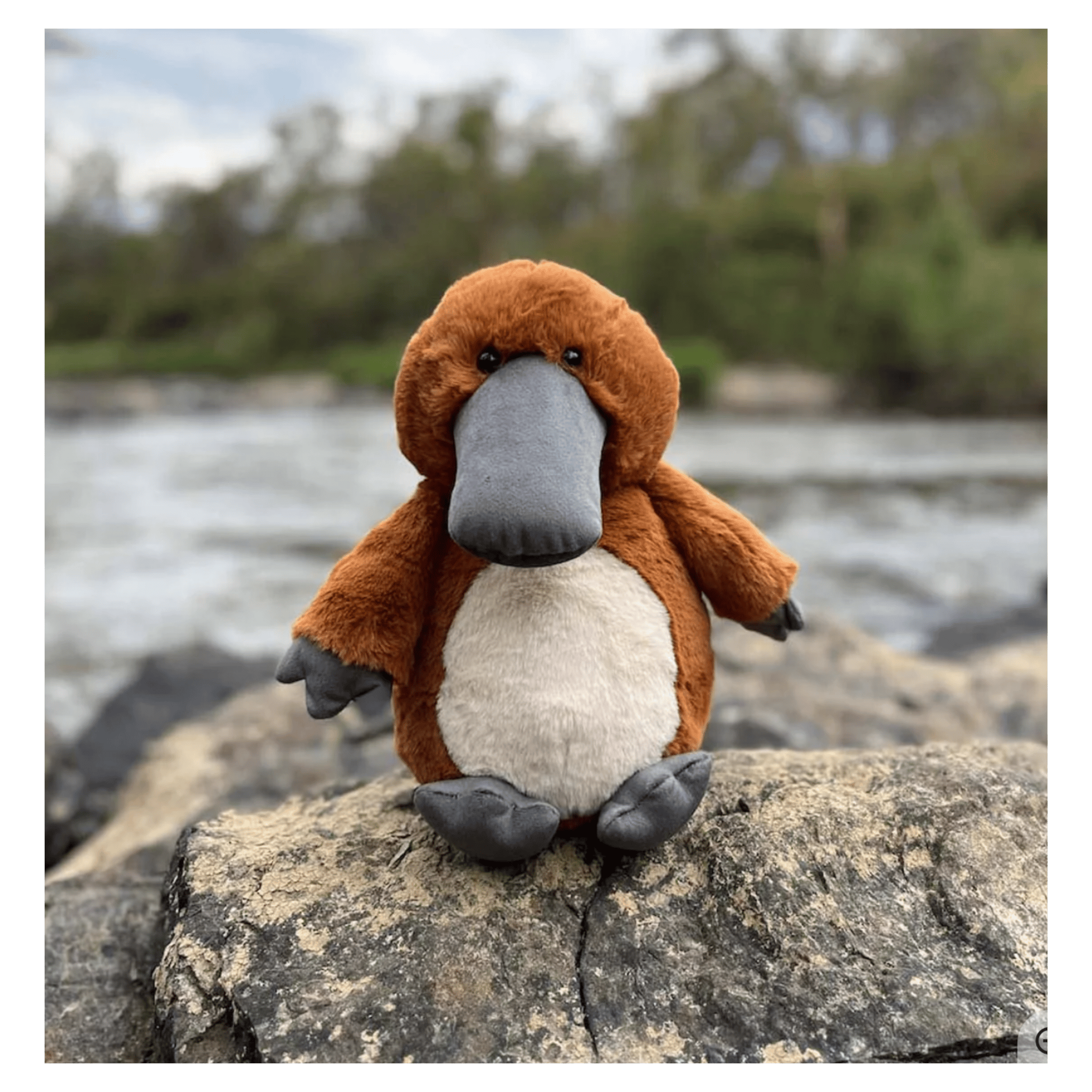 Furfolk Birth Plus Furfolk - Platypus