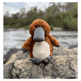 Furfolk Birth Plus Furfolk - Platypus