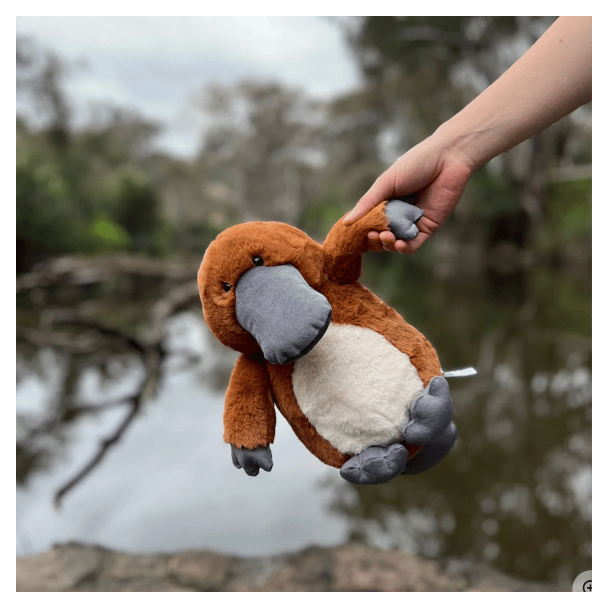 Furfolk Birth Plus Furfolk - Platypus