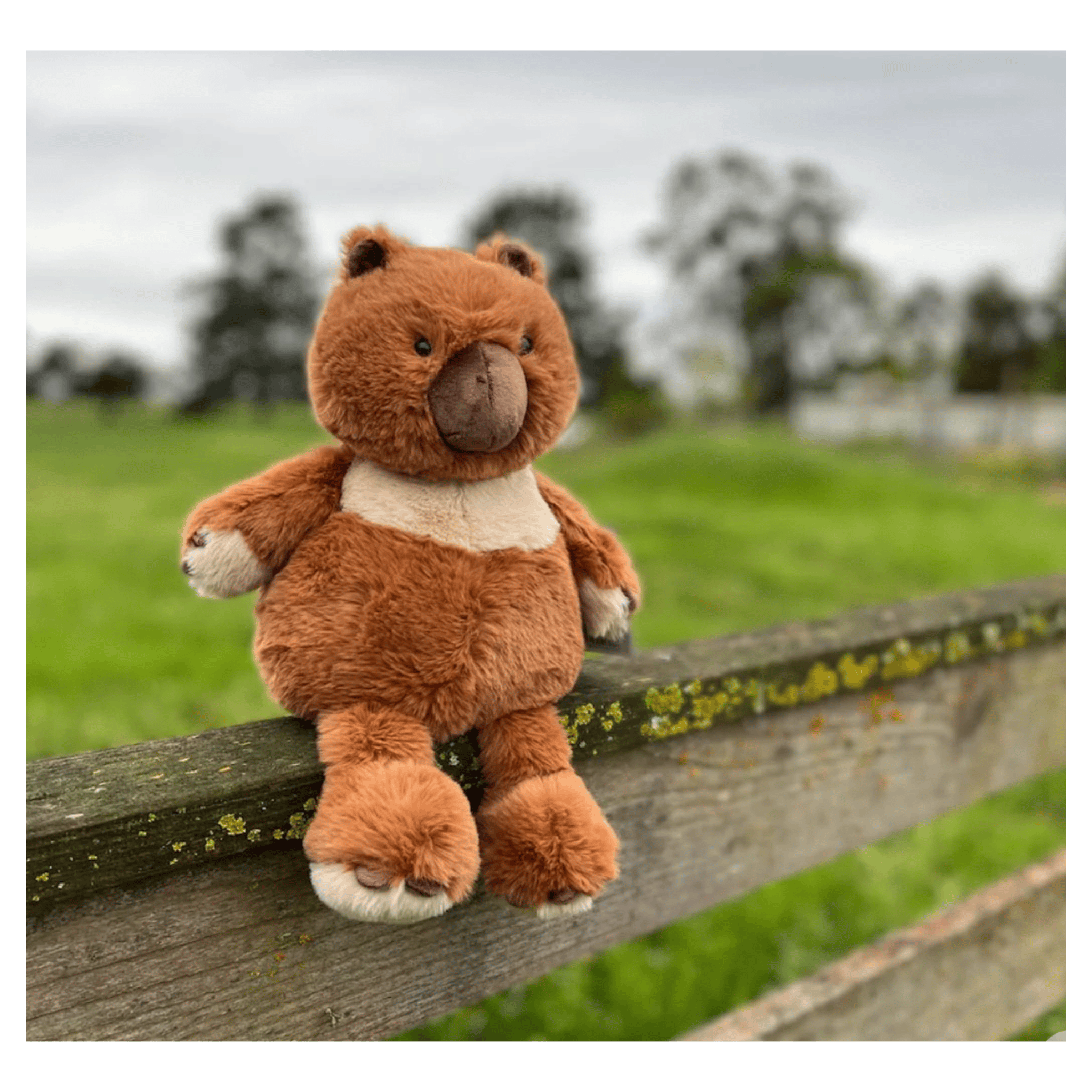 Furfolk Birth Plus Furfolk - Wombat