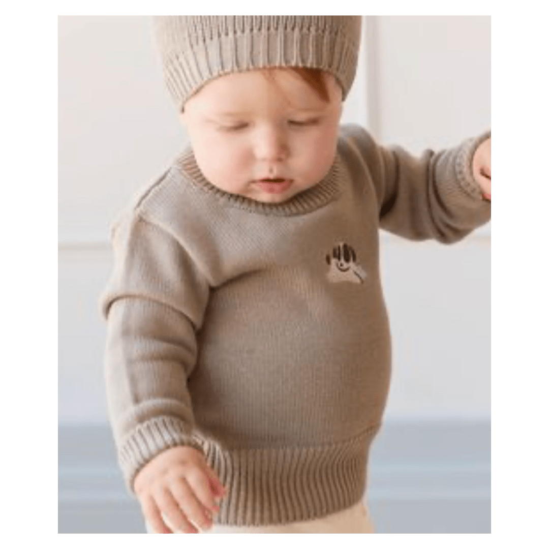 Jamie Kay 0-3 Months to 5 Years Leon Knit Jumper - Tweed Sasha Puppy