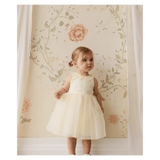 Jamie Kay 6-12 Months to 5 Years Adalyn Dress - Lemon
