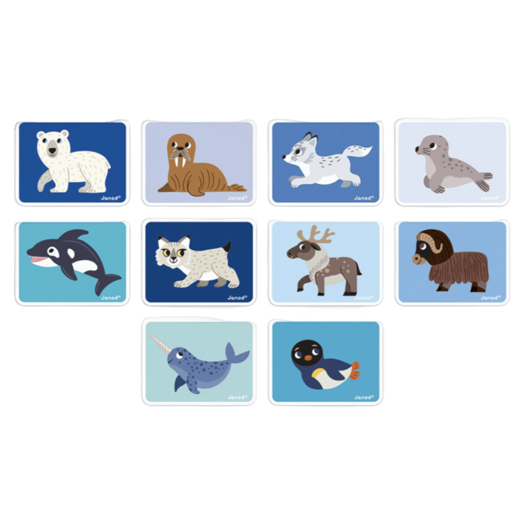 Janod 3 Plus Magnetic Book - Polar Animals