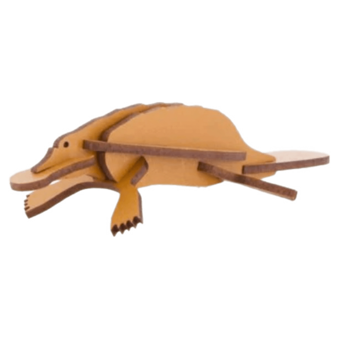 Little and Wood 4 Plus Platypus