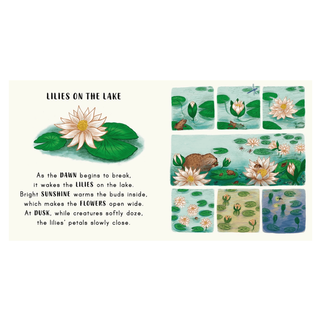 Magic Cat Publishing 12 Months Plus Slow Down.. in the Park - Freya Hartas