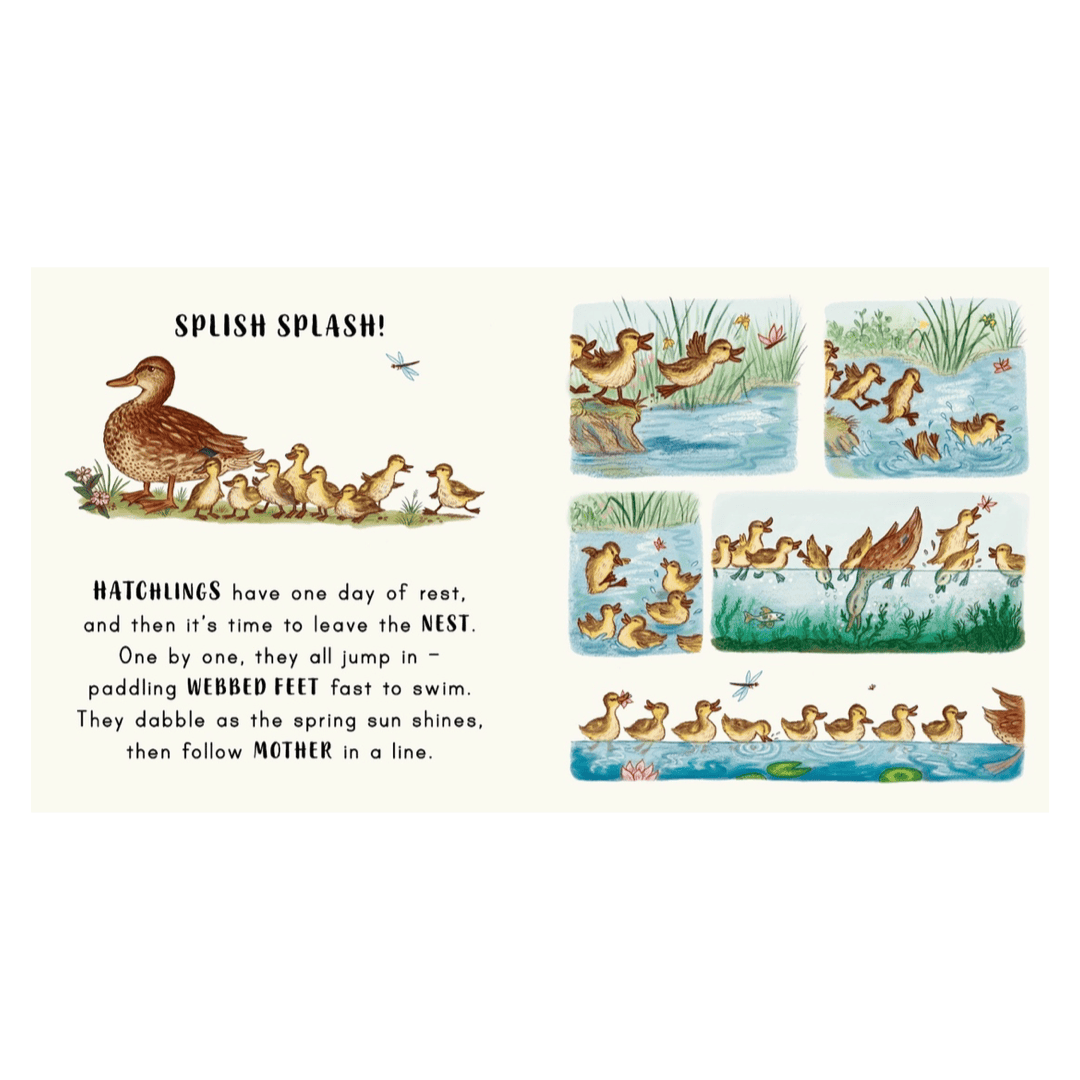 Magic Cat Publishing 12 Months Plus Slow Down.. in the Park - Freya Hartas