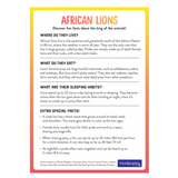 Mudpuppy 3 Plus Game - Lion's Safari Search