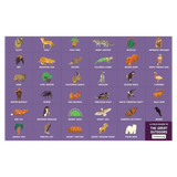 Mudpuppy 4 Plus 64 Pc Search & Find Puzzle - The Great Outdoors