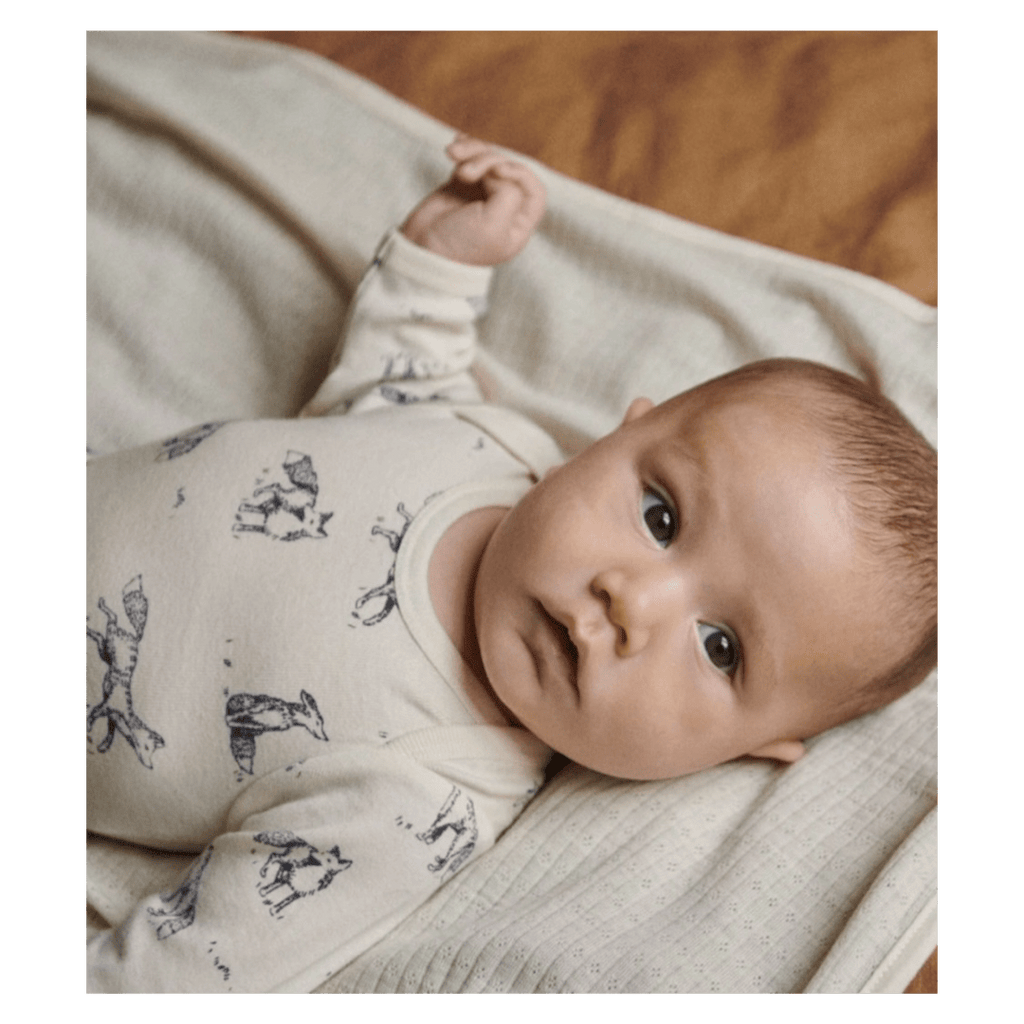 Nature Baby 0-3 Months to 1 Year Long Sleeve Bodysuit - Foxy