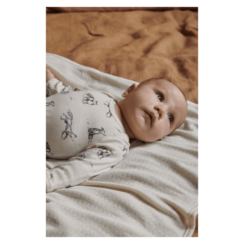 Nature Baby 0-3 Months to 1 Year Long Sleeve Bodysuit - Foxy