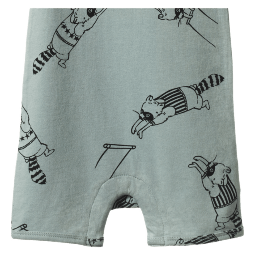 Nature Baby 0-3 Months to 1 Year Quincy Romper - Raccoon Rhapsody