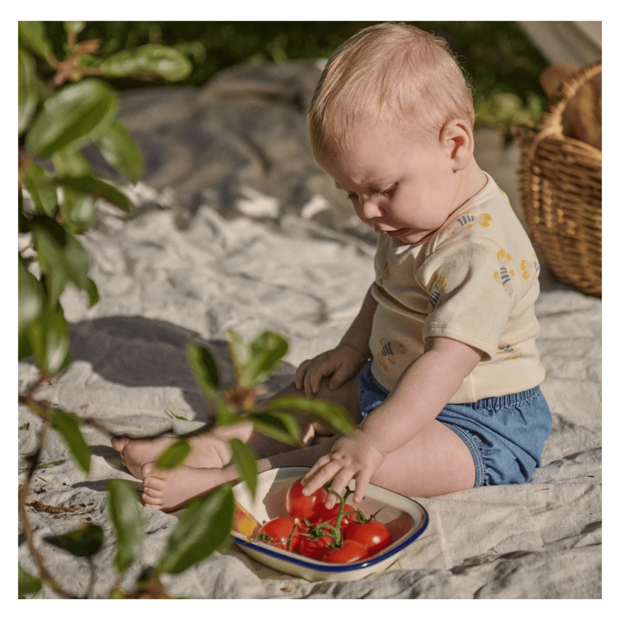Nature Baby 0-3 Months to 1 Year Short Sleeve Bodysuit - Fish Fable