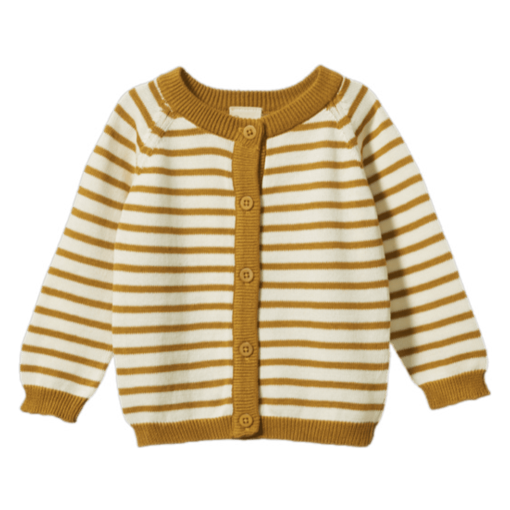 Nature Baby 0-3 Months to 5 Years Piper Cardigan - Palm Sailor Stripe