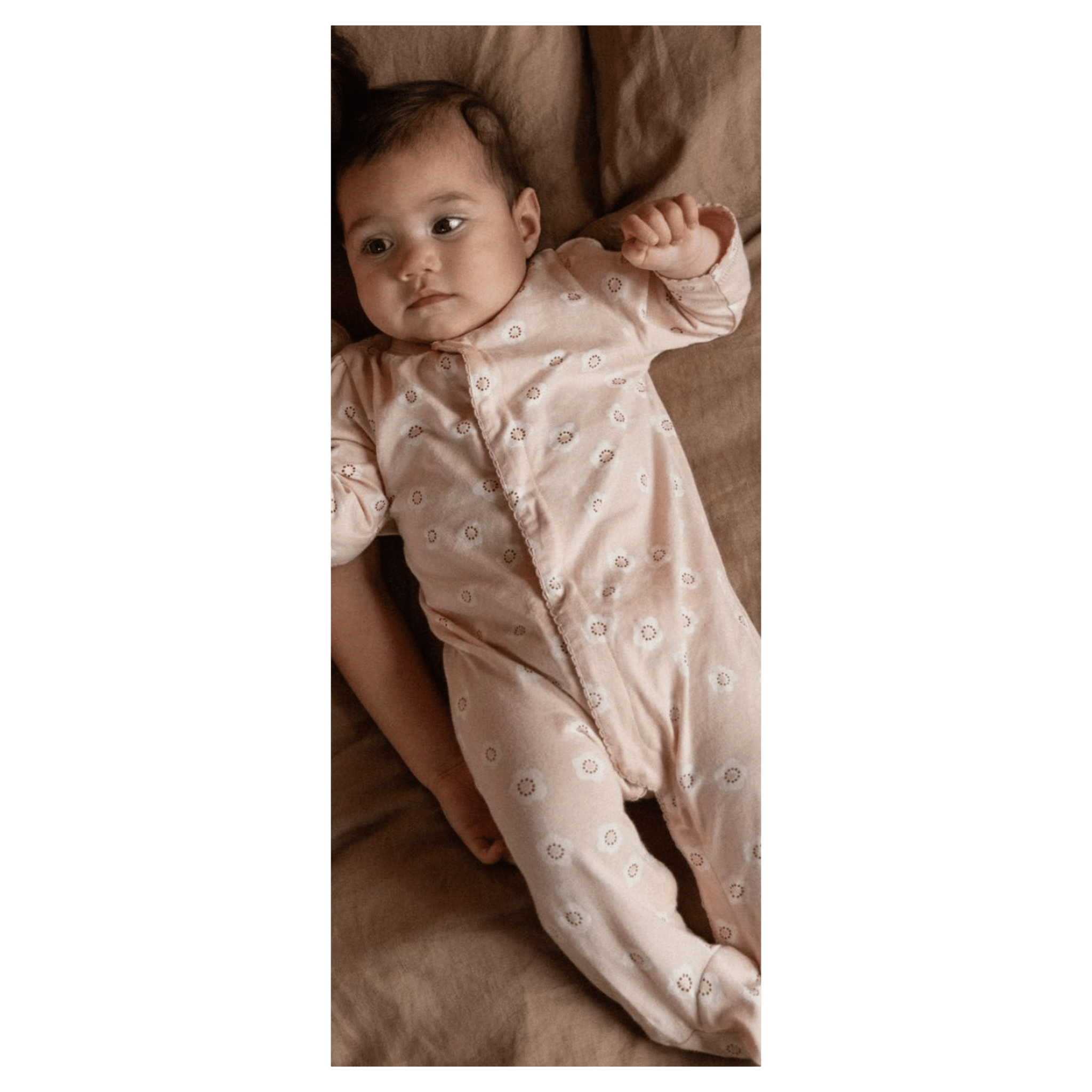 Nature Baby 0-3 Months to 6-12 Months Lucy Suit - Flora Stamp Rose Dust