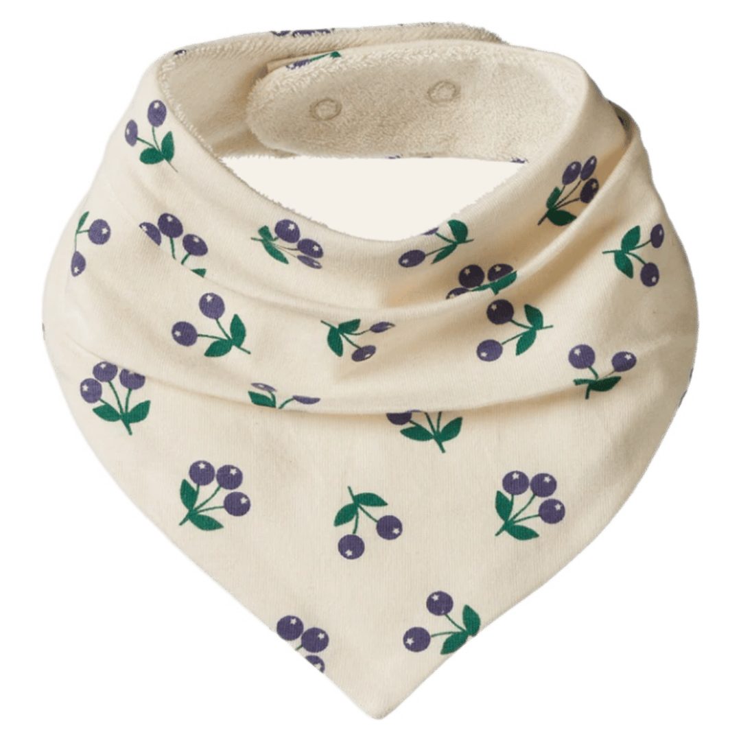 Nature Baby 0-6 Months to 6-12 Months 0-6M Triangle Bib - Little Winter Berry