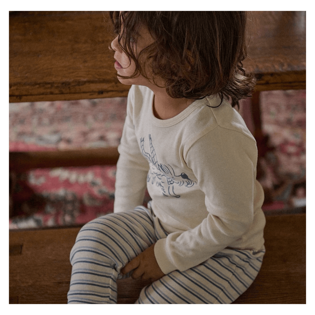Nature Baby 1 Year to 5 Years Long Sleeve Pyjamas - Franklin