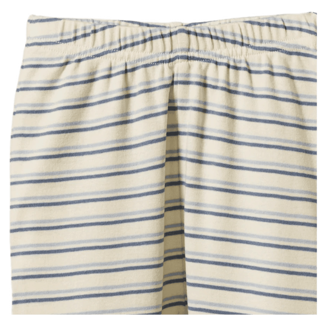 Nature Baby 1 Year to 5 Years Long Sleeve Pyjamas - Franklin