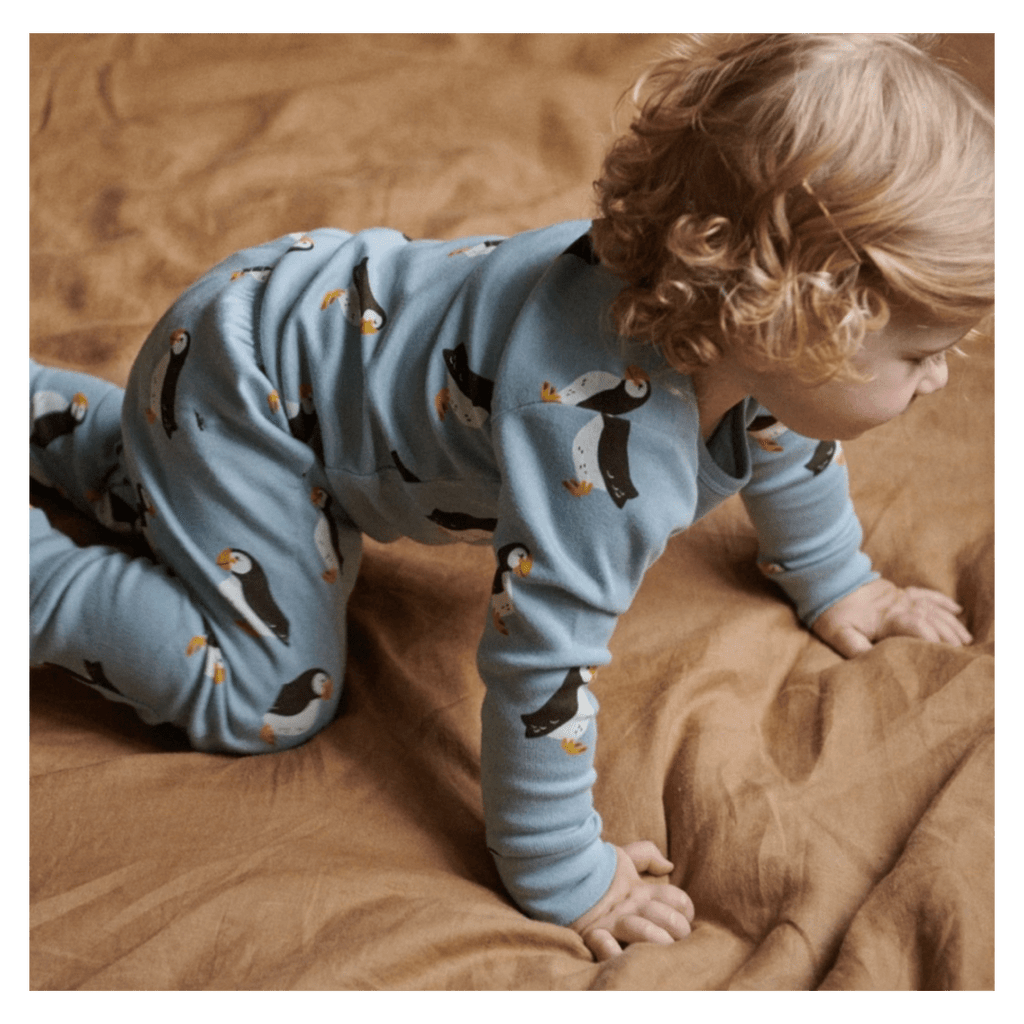 Nature Baby 1 Year to 5 Years Long Sleeve Pyjamas - Puffin