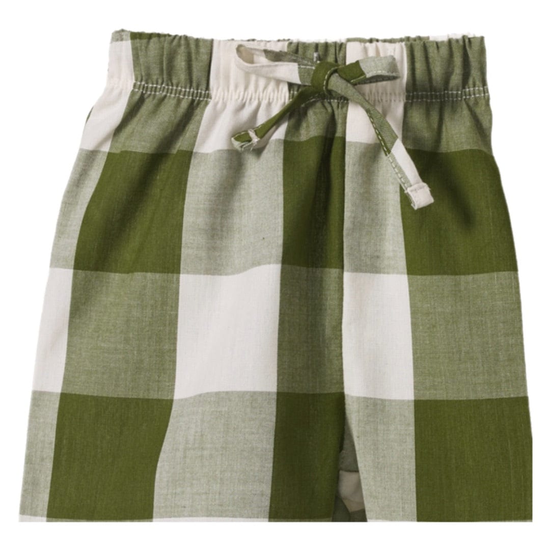 Nature Baby 1 Year to 5 Years Rafferty Shorts - Jungle Check