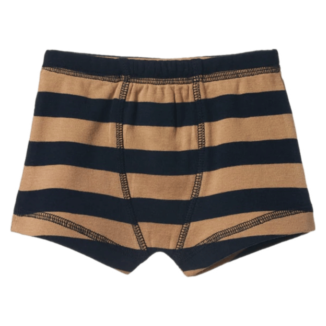 Nature Baby 2 Years to 5 Years 2Y Boxer Shorts - Navy/Caramel Stripe
