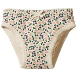 Nature Baby 2 Years to 5 Years 2Y Knickers - Briarwood