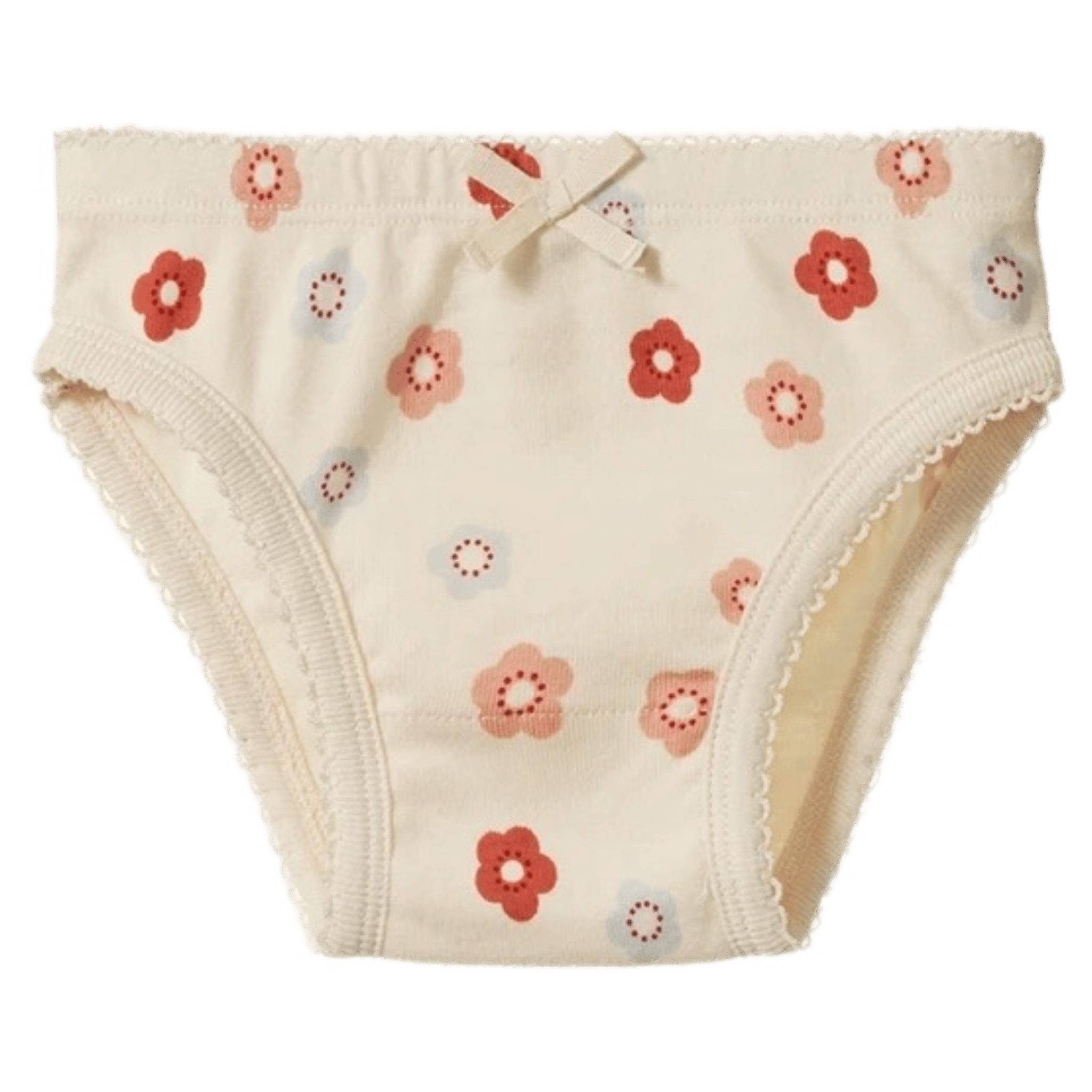 Nature Baby 2 Years to 5 Years 2Y Knickers - Petite Flora Stamp