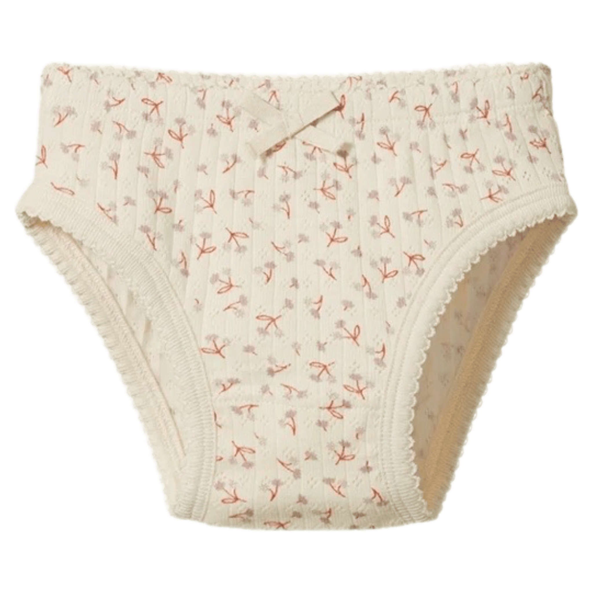 Nature Baby 2 Years to 5 Years 2Y Knickers Pointelle - Danedlion