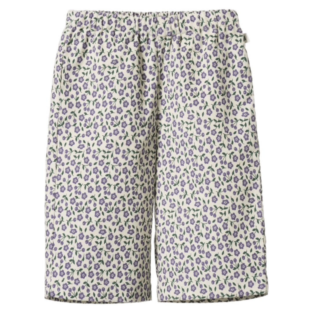 Nature Baby 2 Years to 5 Years 2Y Pippin Pants - Briarwood Heron