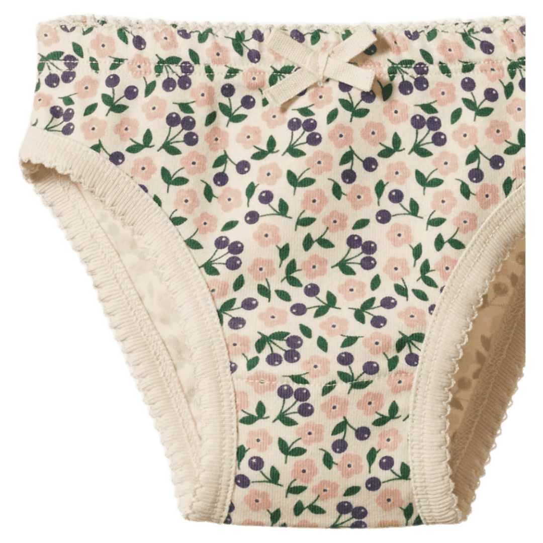 Nature Baby 2 Years to 5 Years Knickers - Briarwood