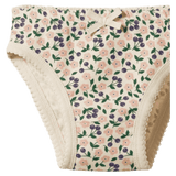 Nature Baby 2 Years to 5 Years Knickers - Briarwood
