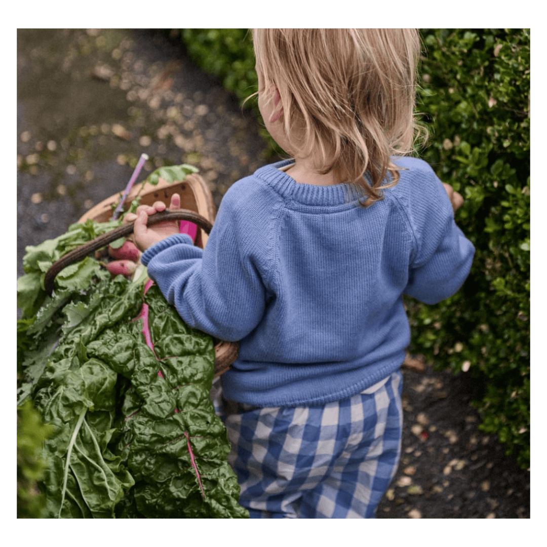 Nature Baby 3-6 Months to 3 Years Sunny Pants - Bluebelle Check