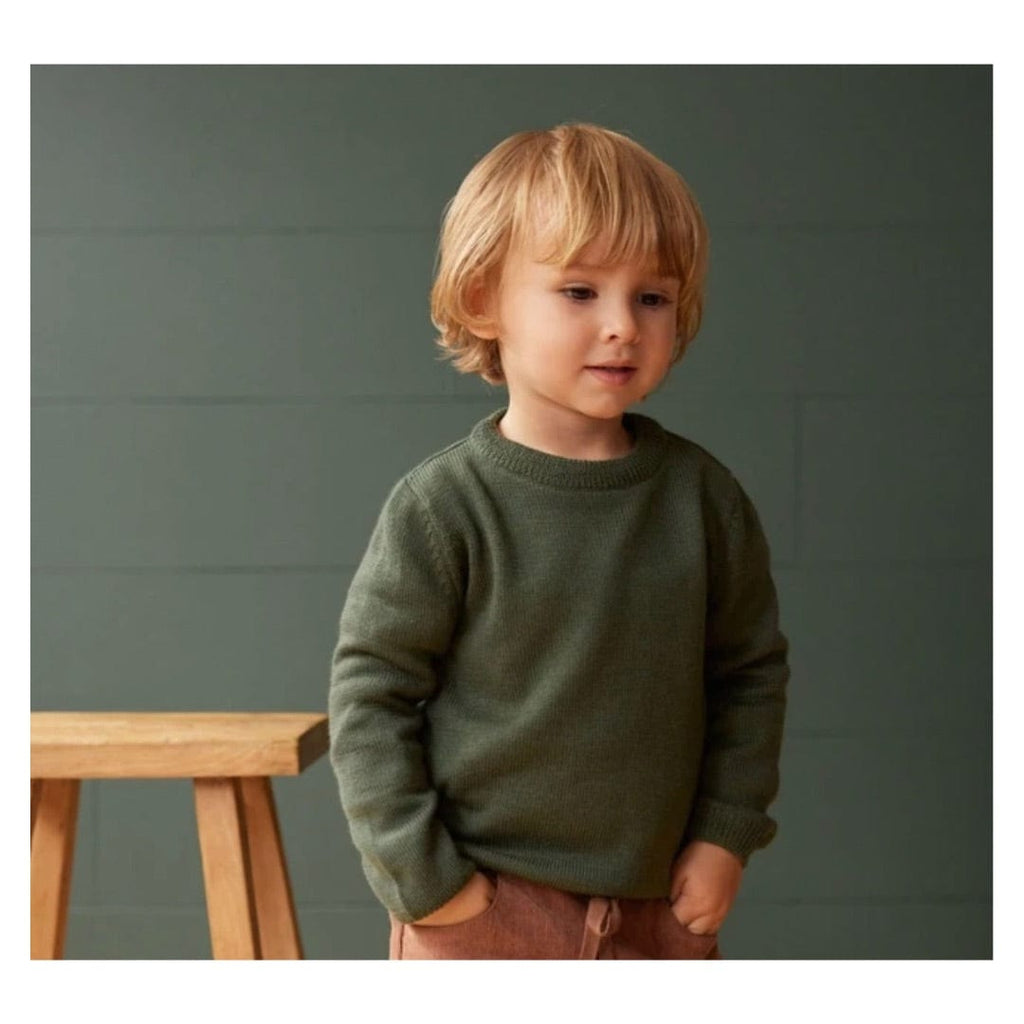 Nature Baby 6-12 Months to 4 Merino Knit Pullover - Thyme