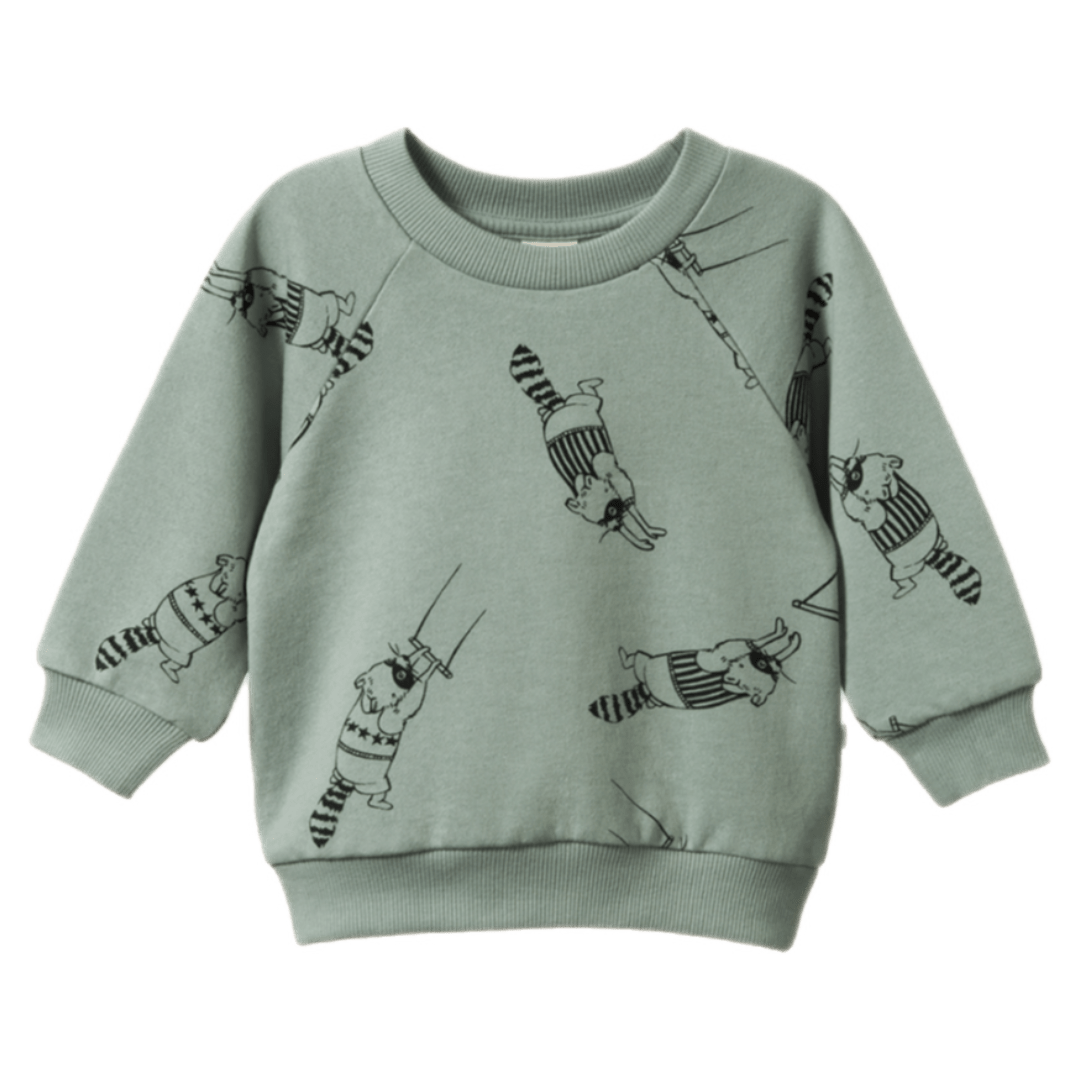 Nature Baby 6-12 Months to 5 Years 6-12M Emerson Sweater - Raccoon Rhapsody