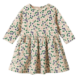 Nature Baby 6-12 Months to 5 Years 6-12M Long Sleeve Twirl Dress - Grand Briarwood