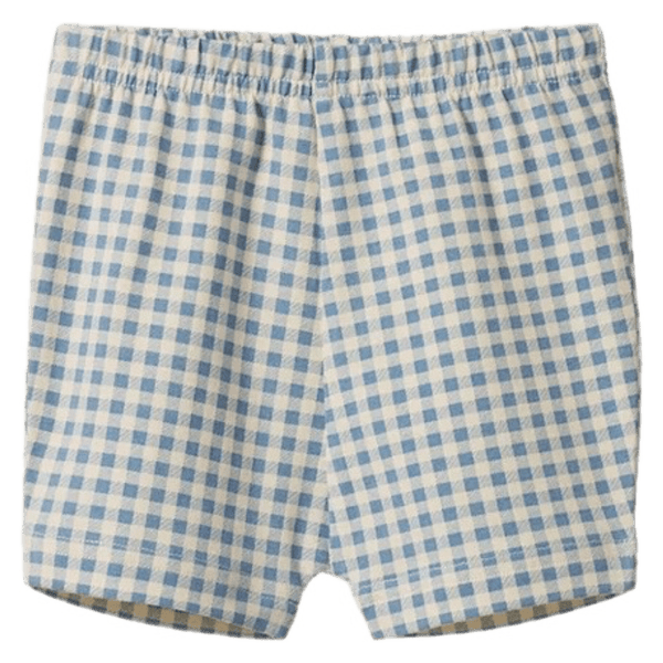 Nature Baby 6-12 Months to 5 Years 6-12M Selby Shorts - Blue Gingham