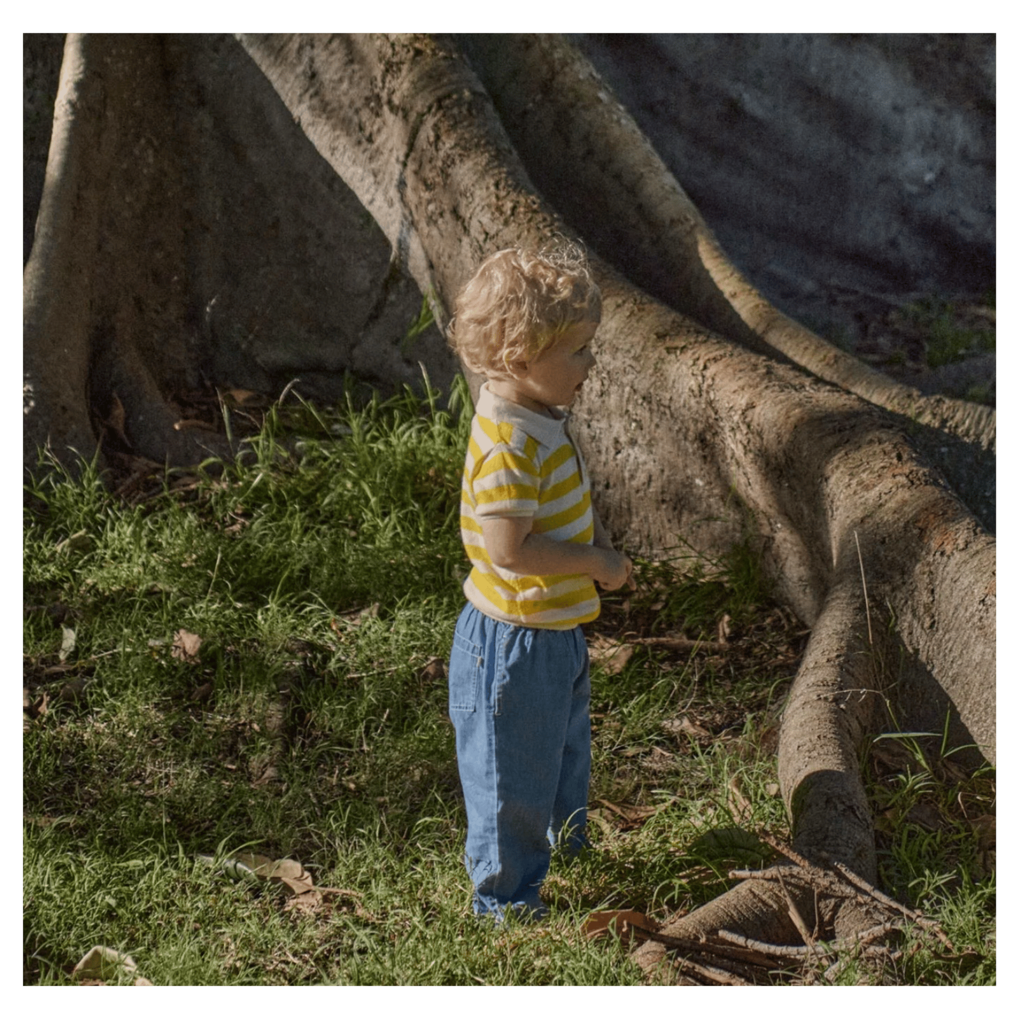 Nature Baby 6-12 Months to 5 Years Dae Pants Chambray - Sky