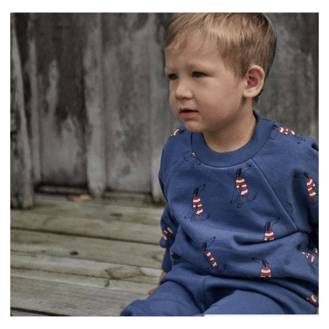 Nature Baby 6-12 Months to 5 Years Emerson Sweater - Best Friend Indigo
