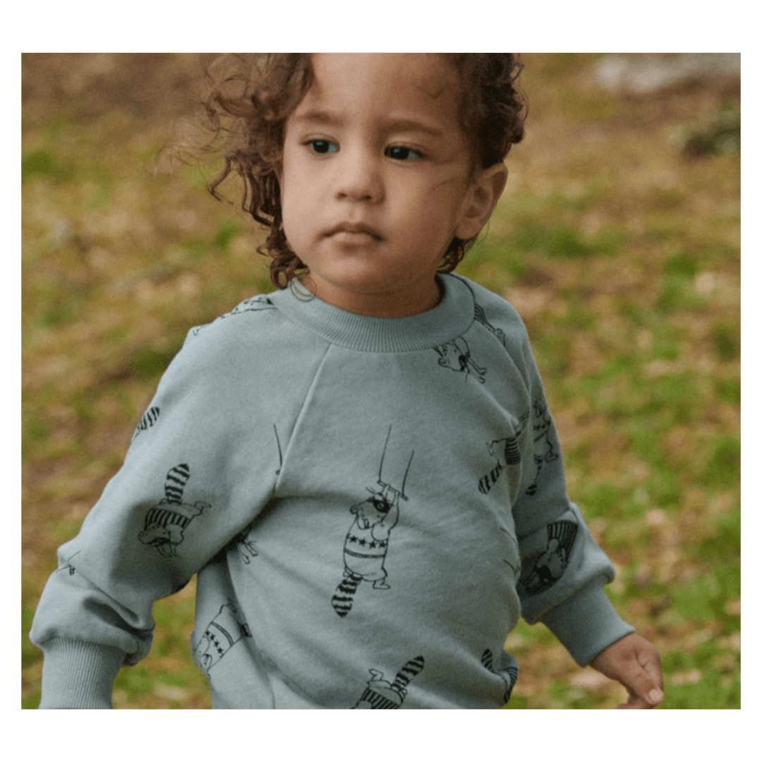 Nature Baby 6-12 Months to 5 Years Emerson Sweater - Raccoon Rhapsody