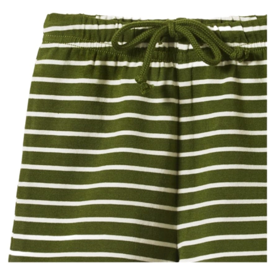 Nature Baby 6-12 Months to 5 Years Jimmy Shorts - Jungle Sailor Stripe