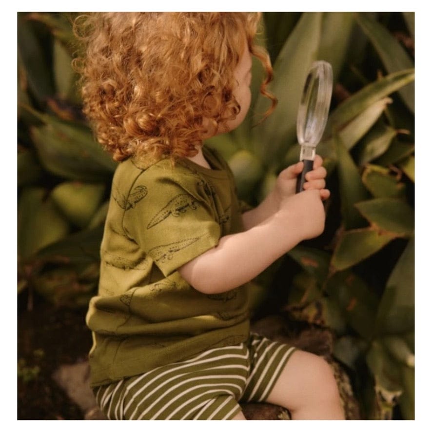 Nature Baby 6-12 Months to 5 Years Jimmy Shorts - Jungle Sailor Stripe